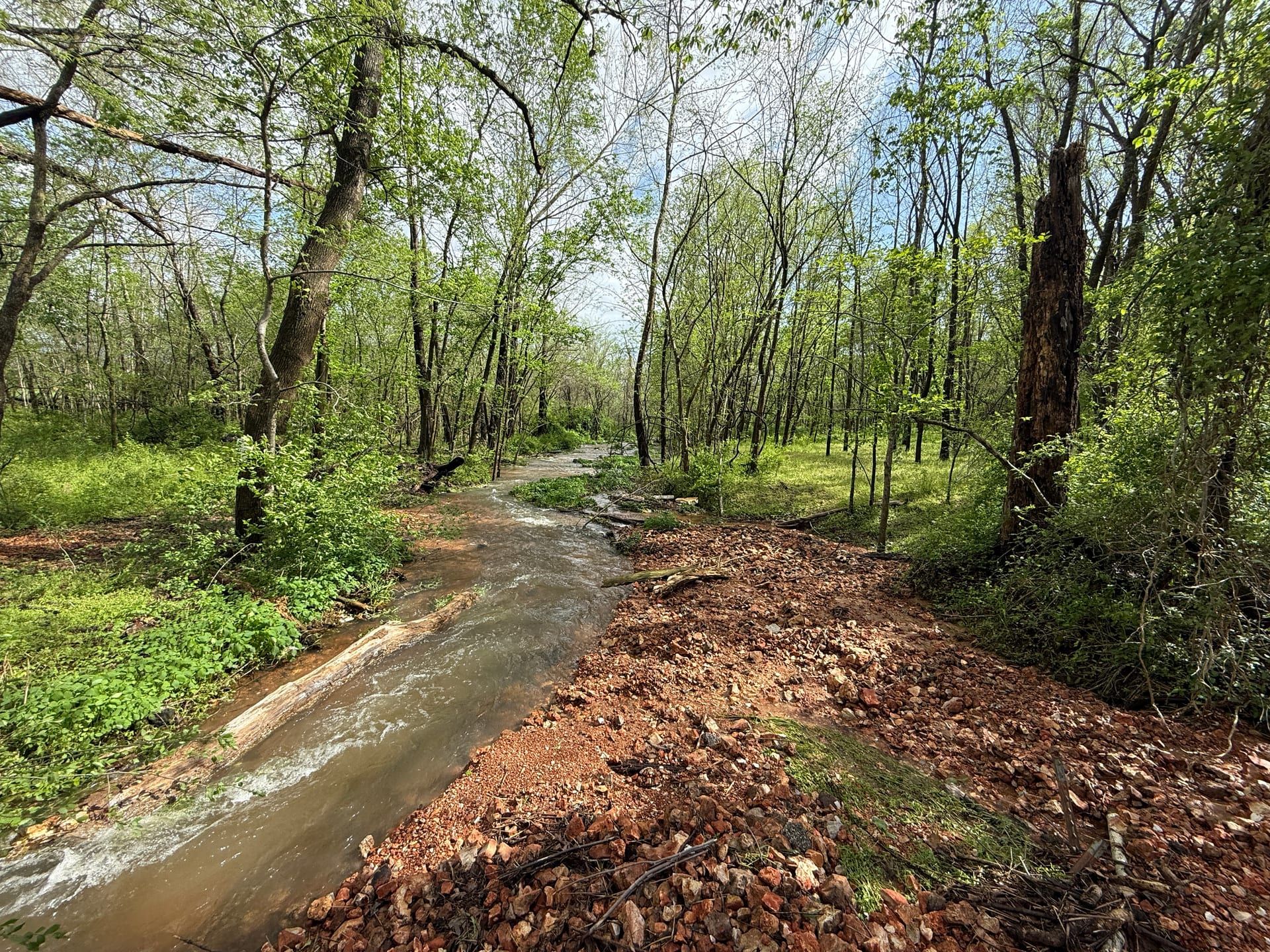 Forest and spring-fed waters at Healing Springs Natural Area