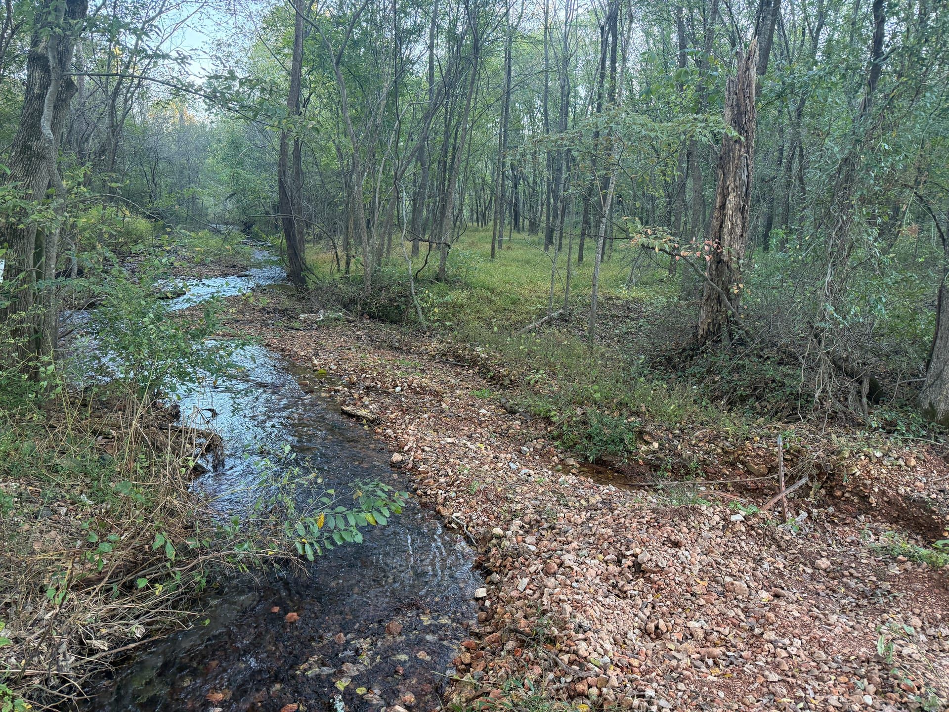 Shallow spring-fed stream flowing past a rocky bank through woodland
