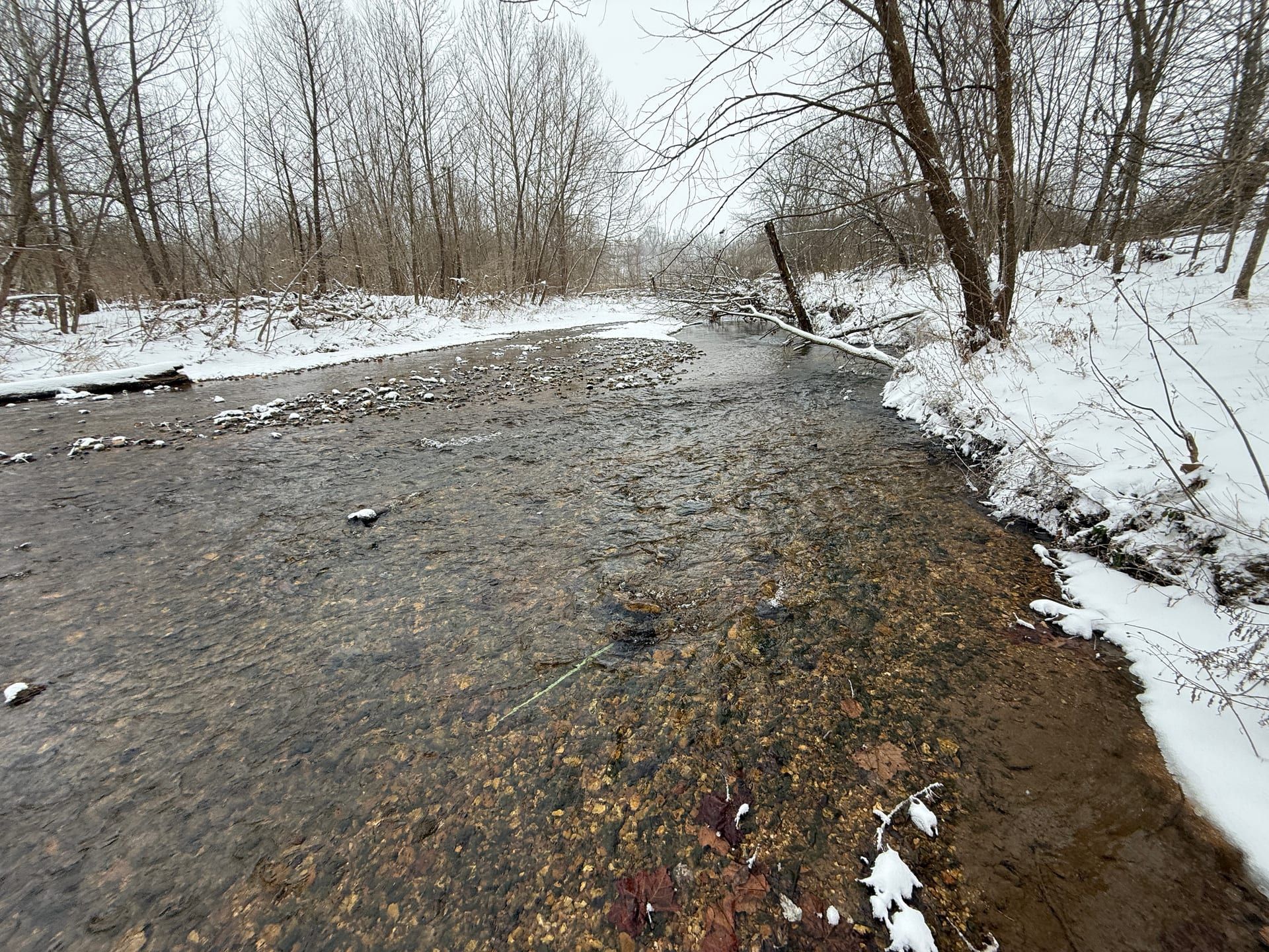 Snow-lined Little Osage Creek with clear water and rocky bed in winter