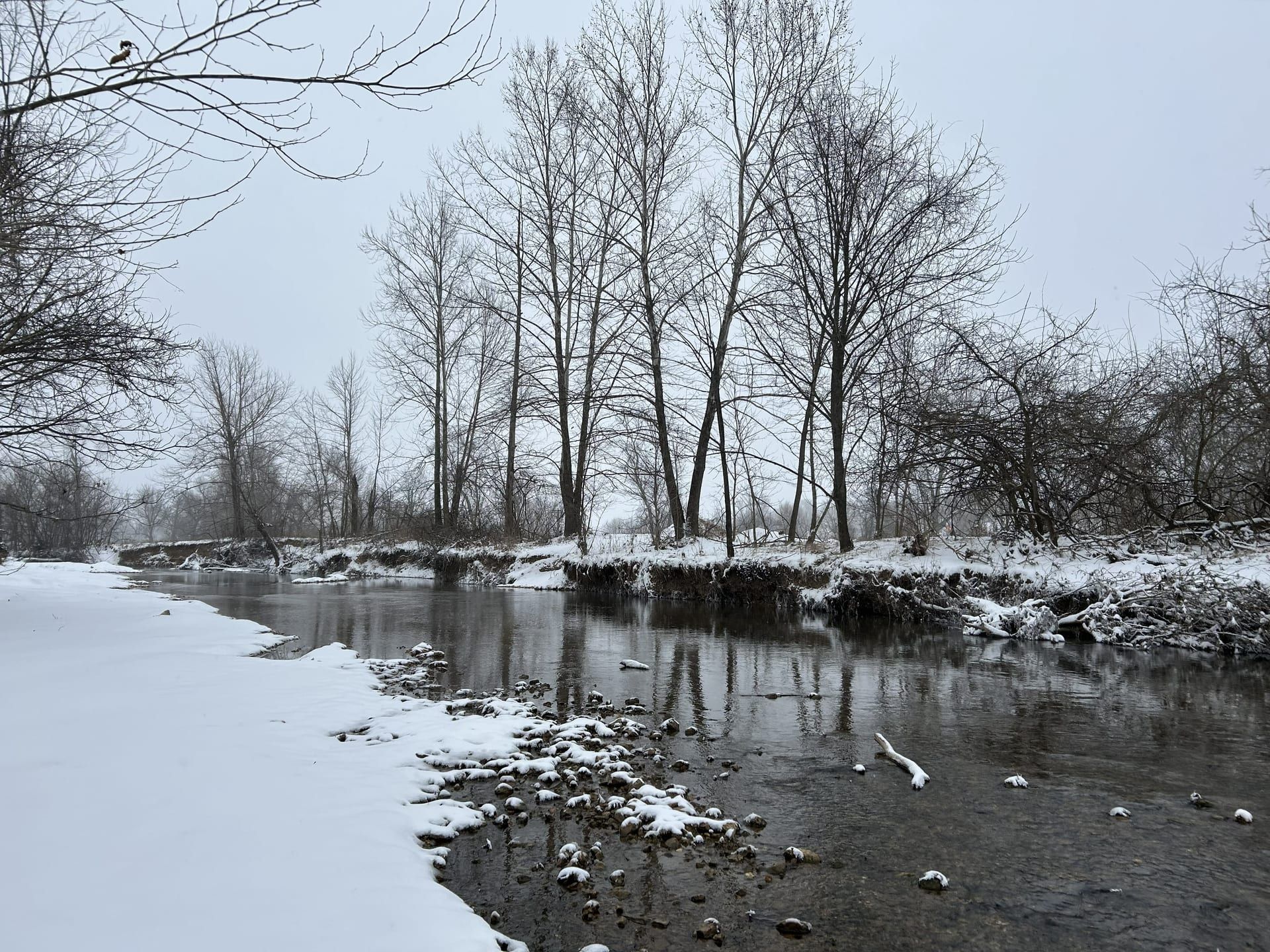 Snow-covered bank along Little Osage Creek with tree reflections in calm winter water