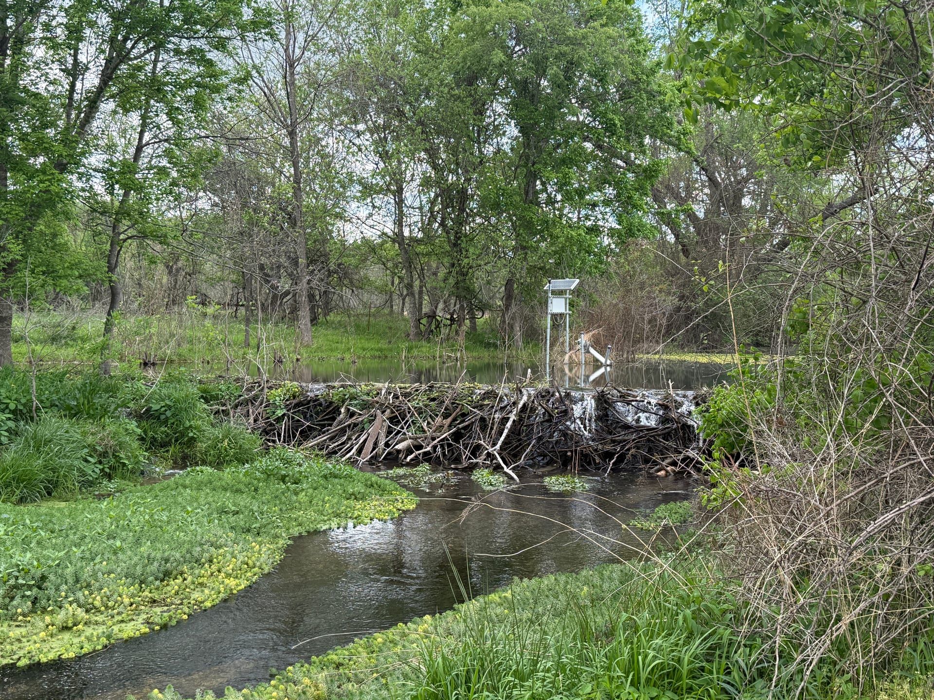 Conservation work along Little Osage Creek