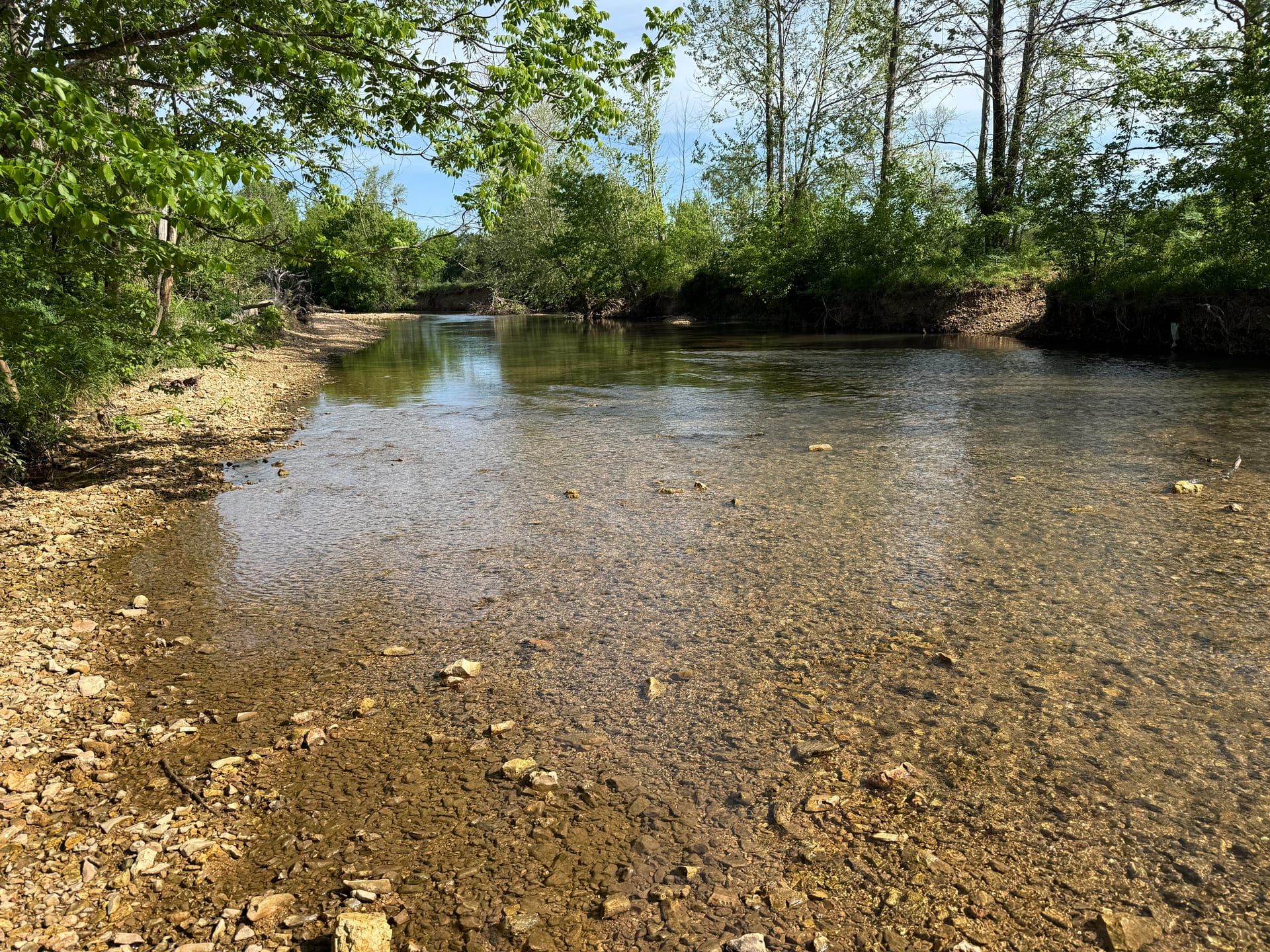 Little Osage Creek at Healing Springs Natural Area