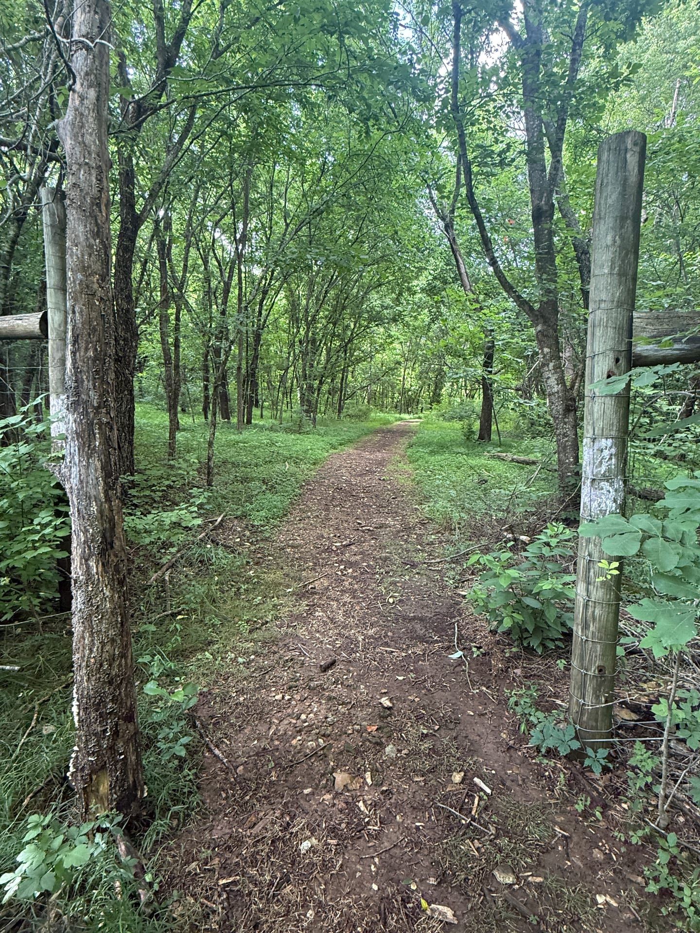 Dirt trail framed by wooden fence posts leading into green forest